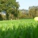 activite-de-pleine-nature-mayenne.jpg